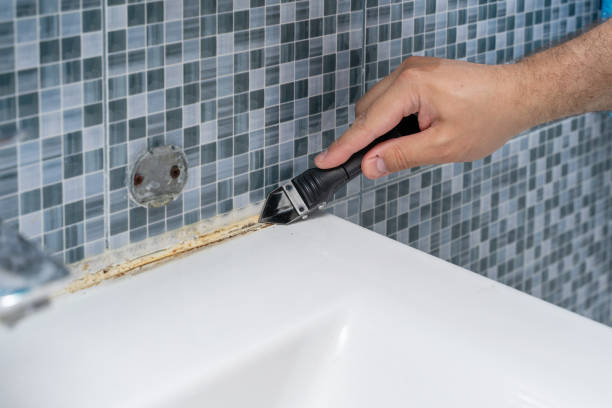 Best Residential Mold Removal  in South Ack, NY
