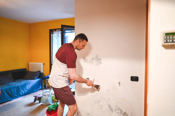 Best Toxic Mold Removal  in South Ack, NY